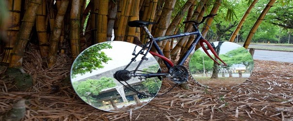 Festival Videobrasil comemora 30 anos